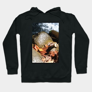 Leaves and stones Hoodie